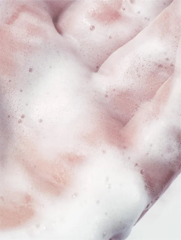 The First Reveal - Cleansing Foam Wash